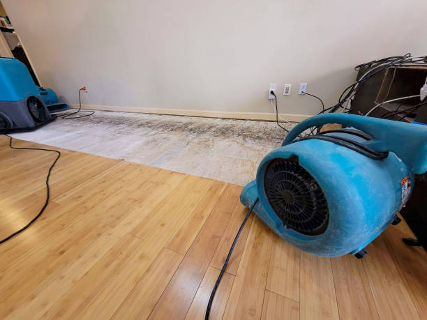 Professional Structural Drying technician working in Saint Clair, PA